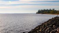 Hog Island Wildlife Management Area, Surry, VA