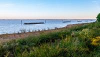 Hog Island Wildlife Management Area, Surry, VA