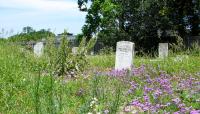 Holt Cemetery, New Orleans, LA