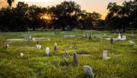 Holt Cemetery, New Orleans, LA