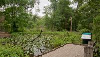 Photo by D.A. Horchner/Design Workshop::2013::The Cultural Landscape Foundation
