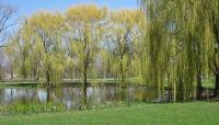 Douglass Park, Chicago, IL