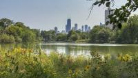 Lincoln Park, Chicago, IL