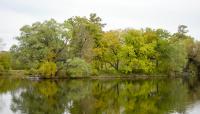 Washington Park, Chicago, IL