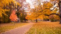 Indiana University, Bloomington, IN