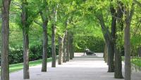 Miller Garden, Columbus, IN