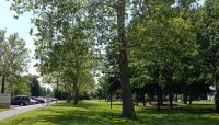 Christian Theological Seminary, Indianapolis, IN