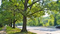 Fall Creek Parkway, Indianapolis, IN