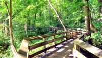 Holliday Park, Indianapolis, IN