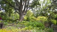 Indianapolis Museum of Art at Newfields, Indianapolis, IN