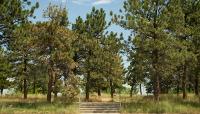 Inspiration Point Park, Denver, CO 