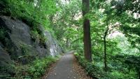 Inwood Hill Park, New York, NY