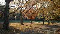 Inwood Hill Park, New York, NY