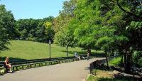 Inwood Hill Park, New York, NY