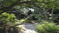 JC Raulston Arboretum, Raleigh, NC