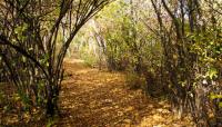 Jamaica Bay Wildlife Refuge, Broad Channel, NY