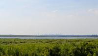 Jamaica Bay Wildlife Refuge, Broad Channel, NY