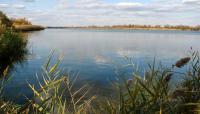 Jamaica Bay Wildlife Refuge, Broad Channel, NY