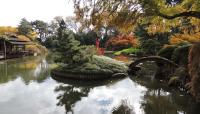 Japanese Hill-and-Pond Garden, Brooklyn, NY 