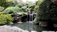 Japanese Hill-and-Pond Garden, Brooklyn, NY 