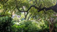 Jefferson Market Garden, New York, NY