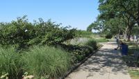 German American Friendship Garden