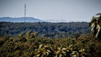 Bernheim Arboretum and Research Forest, Clermont, KY