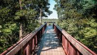 Bernheim Arboretum and Research Forest, Clermont, KY