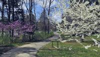 Bernheim Arboretum and Research Forest, Clermont, KY