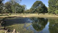 Chickasaw Park, Louisville, KY