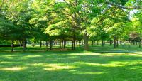 Photo copyright Pat Anderson::2010::The Cultural Landscape Foundation 