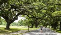 Audubon Park, New Orleans, LA