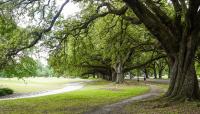 Audubon Park, New Orleans, LA