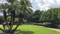 Jackson Square, New Orleans, LA