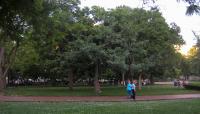 President's Park, Washington, D.C.