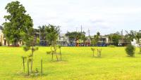 Lafitte Greenway, New Orleans, LA