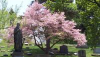 Photo courtesy Lake View Cemetery:: ::The Cultural Landscape Foundation