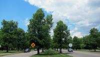 Lincoln Parkway, Buffalo, NY