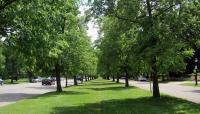 Lincoln Parkway, Buffalo, NY