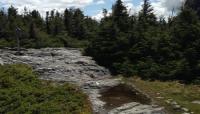 Long Trail, Lincoln, VT