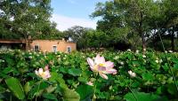 Los Poblanos Historic Inn & Organic Farm 