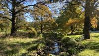 Arnold Arboretum, Boston, MA