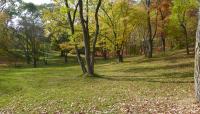 Arnold Arboretum