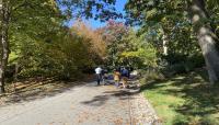 Arnold Arboretum, Boston, MA