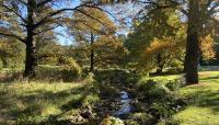 Arnold Arboretum, Boston, MA