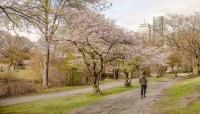 Back Bay Fens, Boston, MA