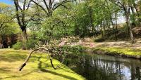 The Riverway, Boston, MA