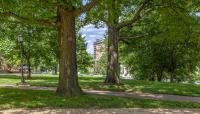 Homewood House Museum, Baltimore, MD