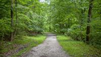 Gwynn's Falls - Leakin Park, Baltimore, MD