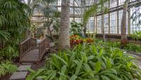 Rawlings Conservatory and Botanic Gardens, Baltimore, MD